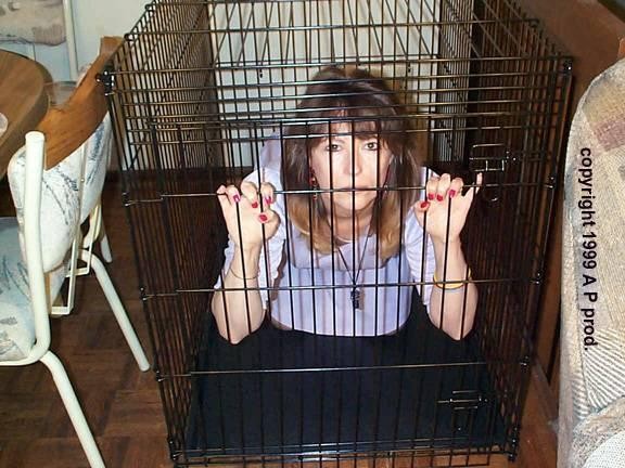 caged-kitten-p.jpg