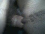 foto12-wap-maam.jpg