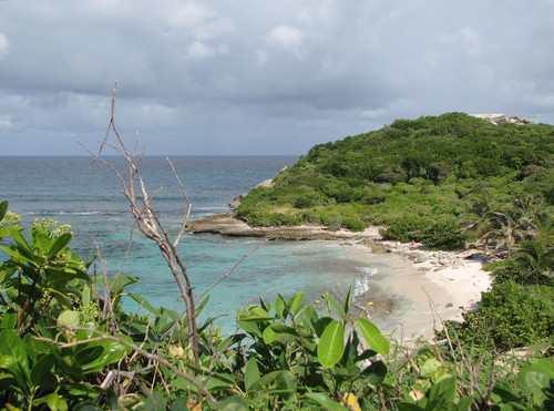 ANSE-TARARE.jpg