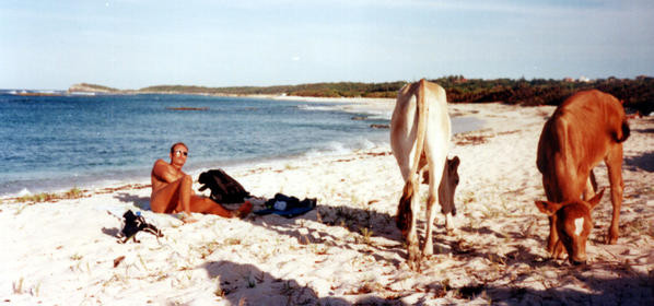 GUADELOUPE-2000--1coupe.jpg