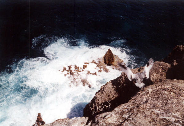 GUADELOUPE-2000--20.jpg