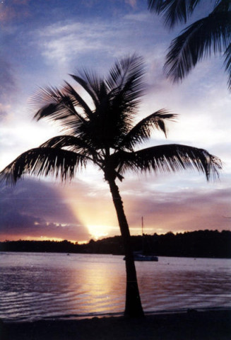GUADELOUPE-2000--23.jpg