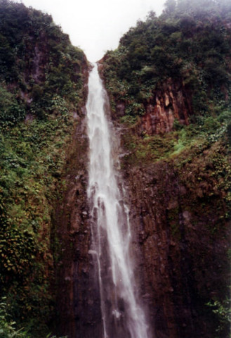 GUADELOUPE-2000--28.jpg