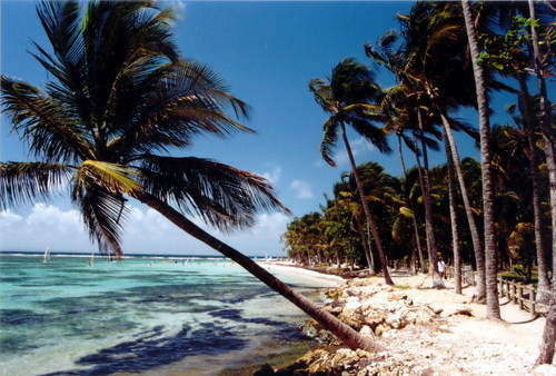 PLAGE-ST-ANNE-CLUB-MED.jpg