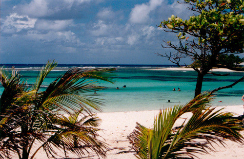 PLAGES-DES-RAISINS.jpg