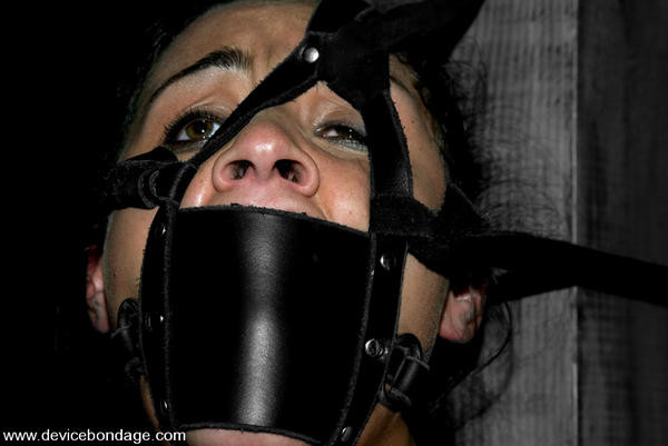 bondage-f12.jpg