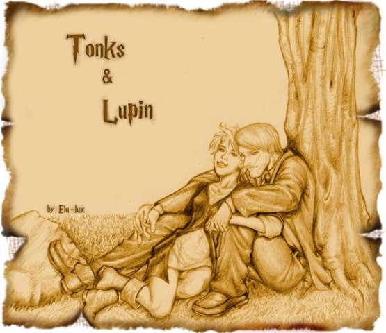 Tonks_and_Lupin_by_elu_lux.jpg