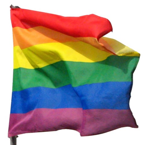 big zoomGB112-drapeau-gay