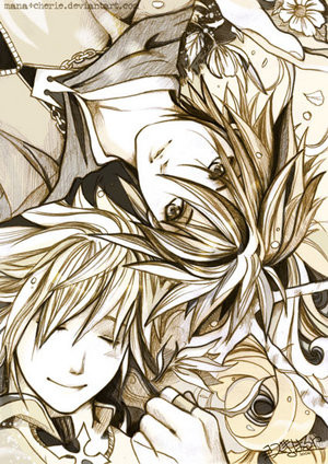 Kh2-Sora-Roxas-Anima-Mundi-By-Kingdom-Hearts-Yaoi.jpg