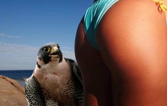 buttcrazybird.jpg