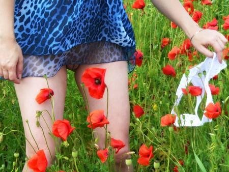 coquelicots