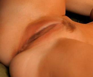 gallery_204904_68875_15367.jpg