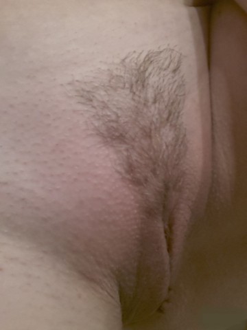 gallery 457230 323657 70772
