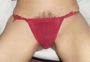 med_gallery_197015_1_21611.jpg