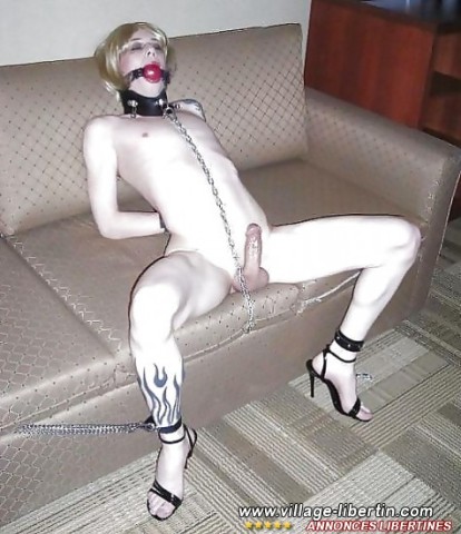 picture 23810aazp7z6erb85h3a2mzm7xo7