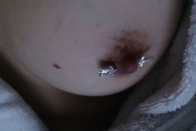gallery 246506 178550 42435