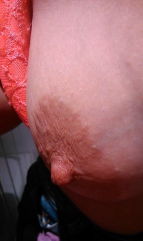 gallery 332182 320878 66112
