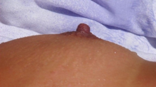 gallery 337859 318051 68818