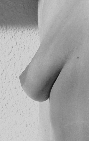 gallery 345051 316458 2145
