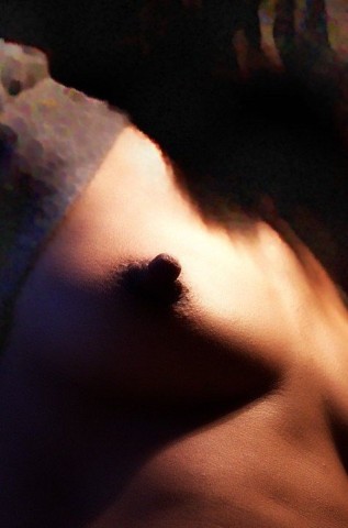gallery 43261 171773 39303