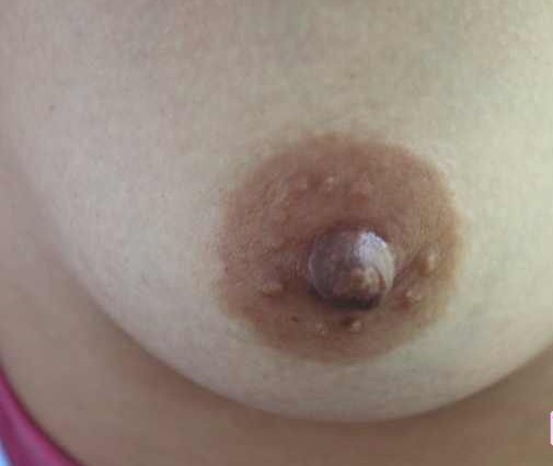 gallery 369247 330536 9248