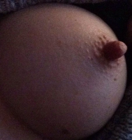 gallery 415159 318279 285986