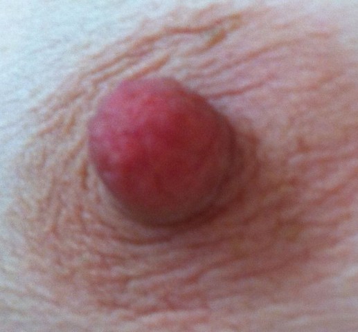 gallery 455427 318163 54475