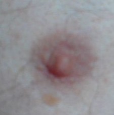 gallery 470905 331607 6109