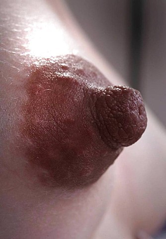 2013-03-19 23.28.04