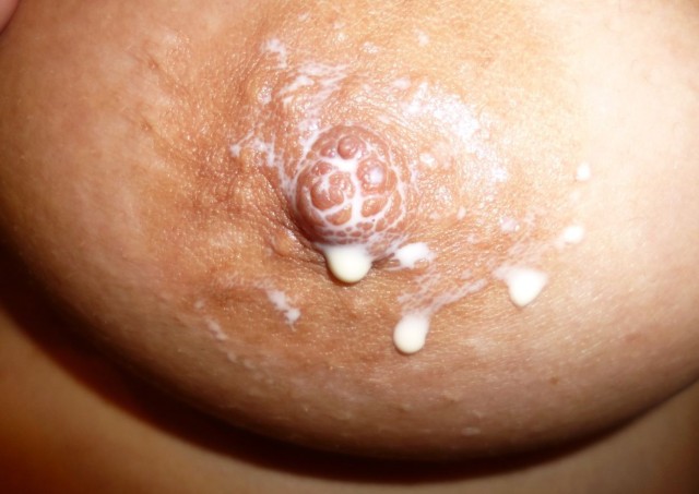gallery 362593 246368 194960