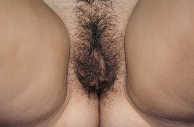 gallery 337095 333543 1624434