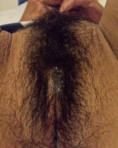 gallery 369247 334242 38961