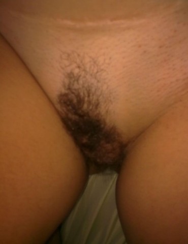gallery 394237 282543 16536