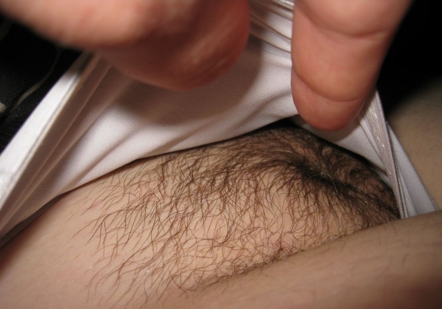 gallery 398977 337516 954051