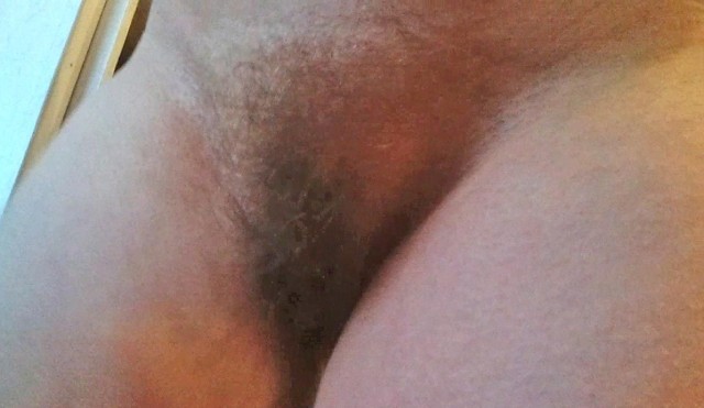 gallery 411427 294405 71638