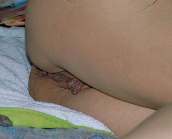 gallery 447347 338624 262883