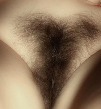 gallery 14194 1 54482
