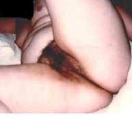 gallery 196268 330540 5962