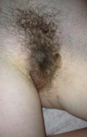 gallery 42025 319233 22436