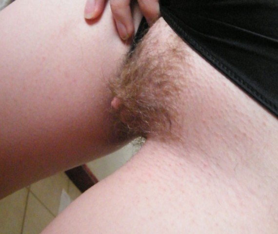 gallery 458314 321976 3428719