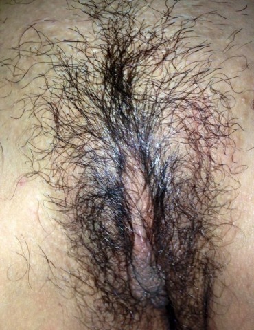 gallery 214724 286435 186167