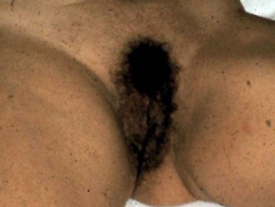 gallery 294834 329491 35503