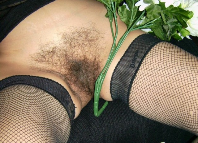 gallery 407367 293185 1375889