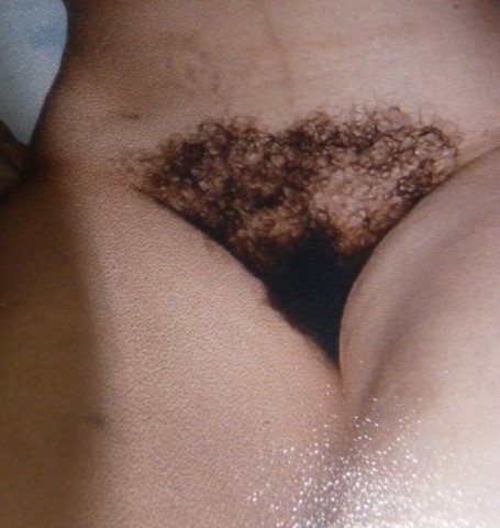 gallery 407367 293185 2614208