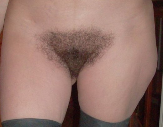 gallery 407367 293185 414993