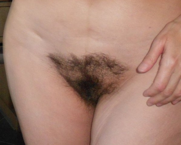 gallery 407367 293185 4160037