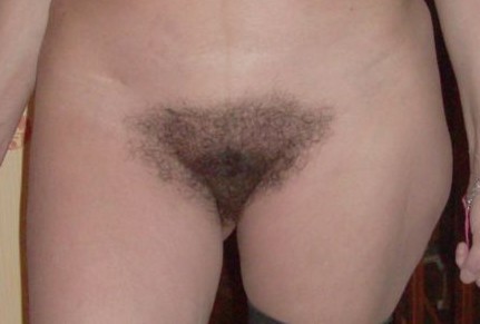 gallery 407367 293185 860200