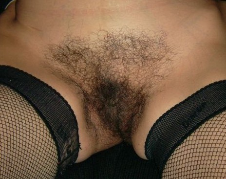 gallery 407367 293185 944737