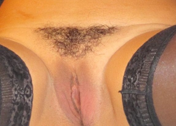 gallery 463934 329818 425597