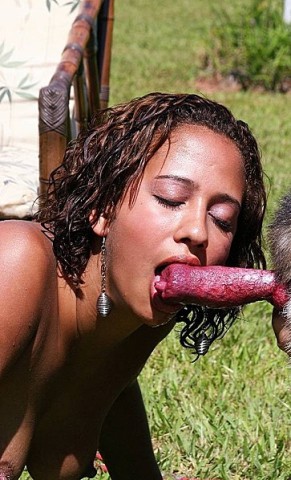 y-zoo1